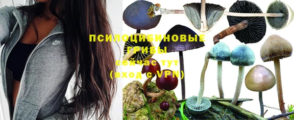 СК Богданович